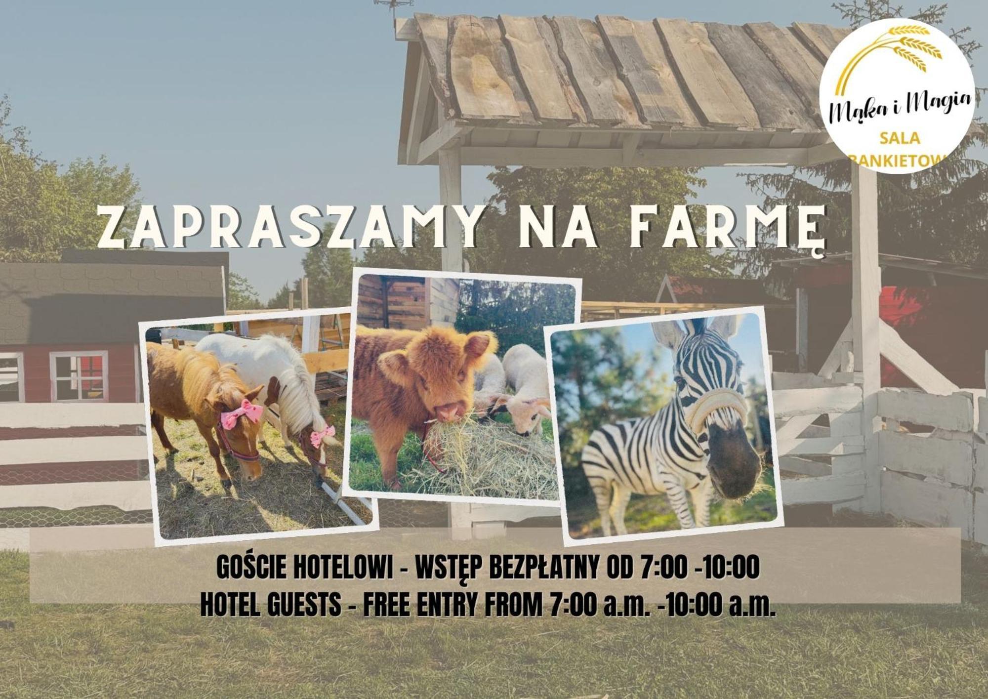 Magiczna Farma Hotel Obiady Maka I Magia Zambrow Zewnętrze zdjęcie